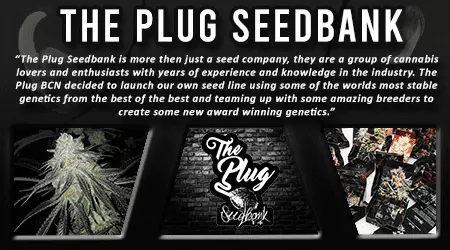 The Plug Cannabis Seed Bank