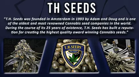 T H Cannabis Seeds
