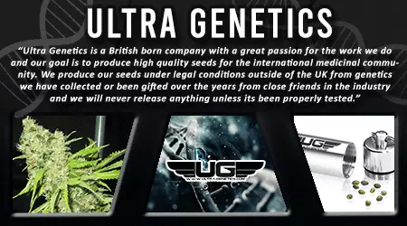 Ultra Genetics Cannabis Seeds