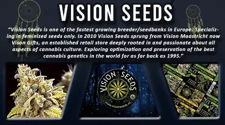 Vision Cannabis Seeds