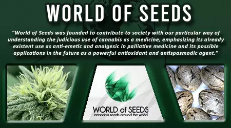 World Of Cannabis Seeds