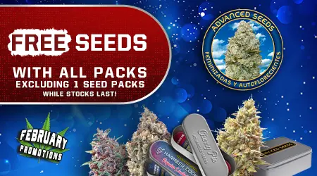 Advanced Seeds Cannabis Seeds Promotion