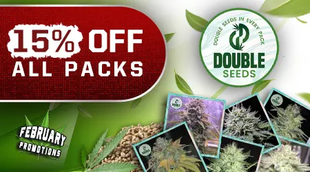 Double Cannabis Seeds Promotion