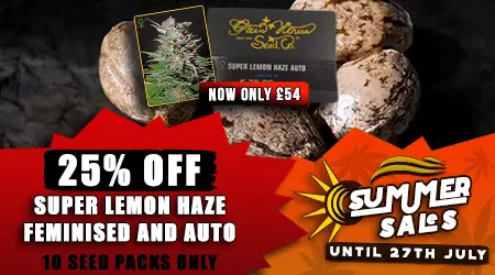 GHS Cannabis Seeds Promotion