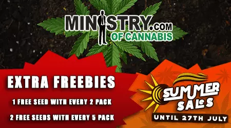 MOC Cannabis Seeds Promotion