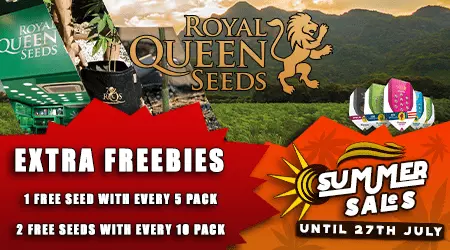 RQS Cannabis Seeds Promotion