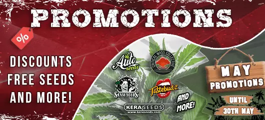 Cannabis Seeds Monthly Promotions