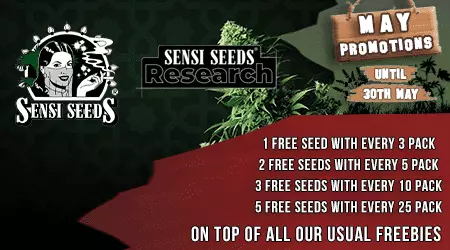Sensi Seeds Cannabis Seeds Promotion