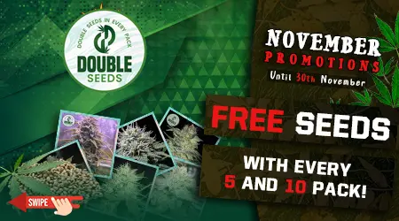 Double Seeds Cannabis Seeds Promotion
