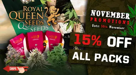 Royal Queen Cannabis Seeds Promotion